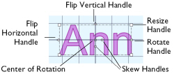 Object_Selection_eg_104036.jpg