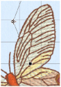 QS2_Points_after_move_1.jpg