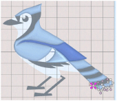 Blue_Jay_4.jpg