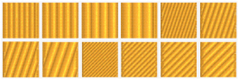 Fill_Patts_Standard_2.jpg