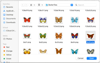 Picture_viewer_dialog_box.jpg