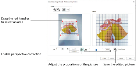 EDW_03_Rotate_Pic_Perspective.jpg