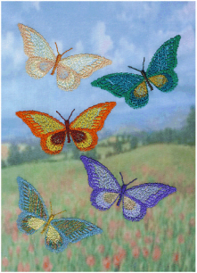 Tips_butterfly_phot_2_sml.jpg