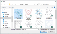 QS_QDC_QB2_Blanket_Stitch_Flower_in_Viewer.jpg
