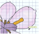 Get_Length_of_Area_example.jpg